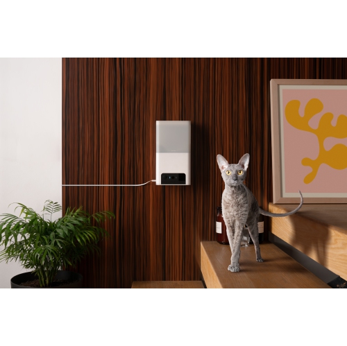 Petcube Bites 2 Lite Interactive Wi-Fi Pet Monitoring Camera with Phone App and Treat Dispenser