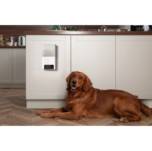 Petcube Bites 2 Lite Interactive Wi-Fi Pet Monitoring Camera with Phone App and Treat Dispenser