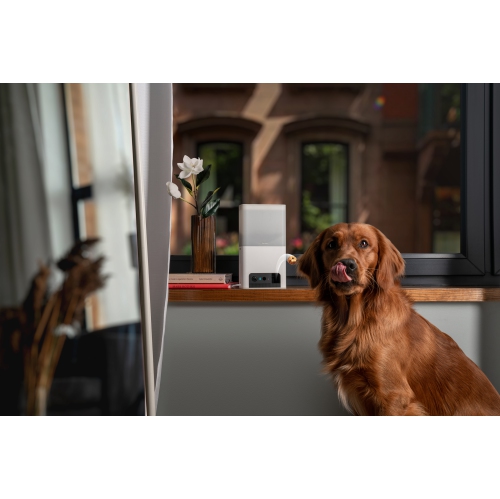 Petcube Bites 2 Lite Interactive Wi-Fi Pet Monitoring Camera with Phone App and Treat Dispenser