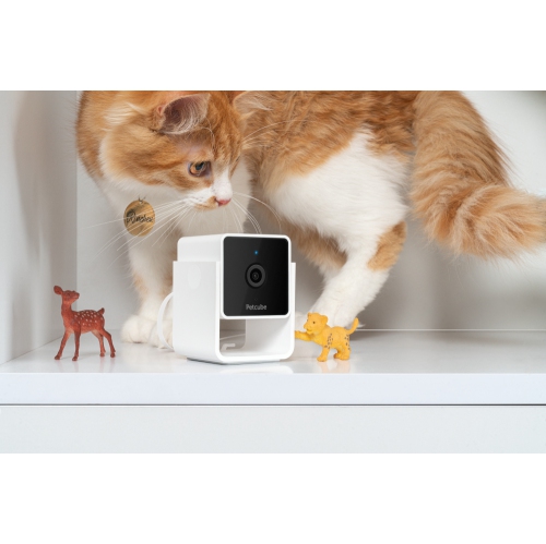 Caméra d'intérieur Wi-Fi pour animal de compagnie Petcube Cam avec application pour téléphone