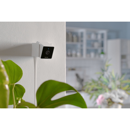 Caméra d'intérieur Wi-Fi pour animal de compagnie Petcube Cam avec application pour téléphone