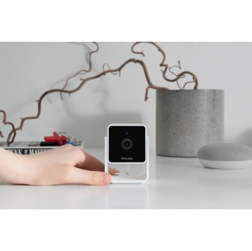 Caméra d'intérieur Wi-Fi pour animal de compagnie Petcube Cam avec application pour téléphone