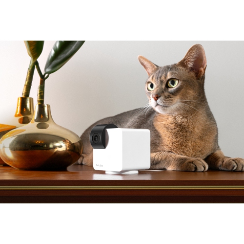 Petcube Cam 360 Camera Ultimate Interactive Wi-Fi Pet and Home Security Pan-Tilt Camera with Phone App