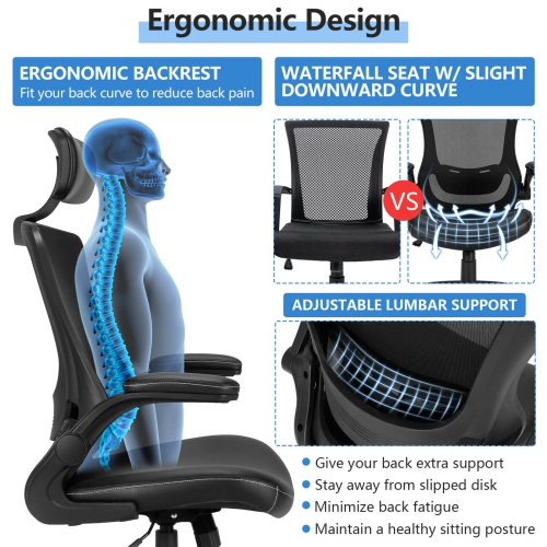 High-Back Executive Chair with Adjustable Lumbar Support and Padded Headrest