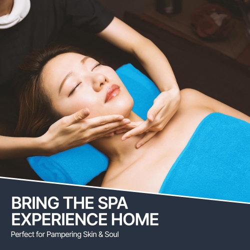 Paquet de 2 housses d'oreiller Beddora Taille – Couvre-oreillers étanches à fermeture à glissière, oreiller résistant aux insectes et à la poussière