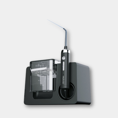 LP233 Pro UVC Sterilizable Countertop Water Flosser