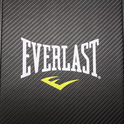 Everlast T500 Folding Treadmill, 2.25 HP, 16" x 50" Running Surface - 16005905000