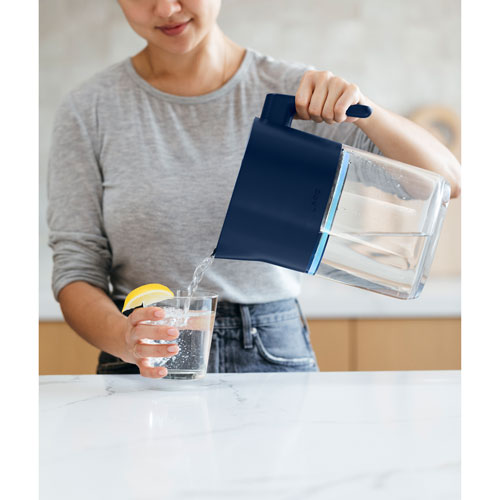 Filtre pour pichet d'eau Advanced de LARQ - Paquet de 2