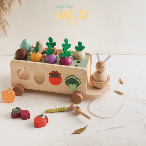 Wooden bungee cord carrot car toy set - educational building blocks for toddlers and kids, fun learning games, durable and safe, perfect gift for