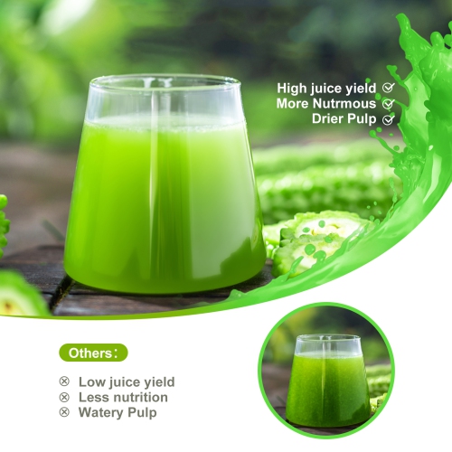 Masticating Juice Attachments for KitchenAid Mixer, 7 segment spirals, Slow Juicer Parts with Brush, Easy to Clean and Assemble, Machine not included