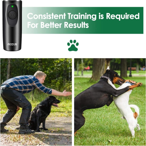 Appareil d'entraînement à ultrasons portatif pour chien avec dresseur à chien, anti-aboiement à ultrasons pour chien, indicateur LED d'entraînement