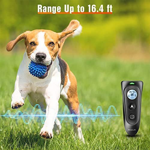 Bouchon d'écorce ultrasonique à deux têtes, dispositif d'entraînement portatif pour chien, bouchon d'écorce pour chien, prise en charge de