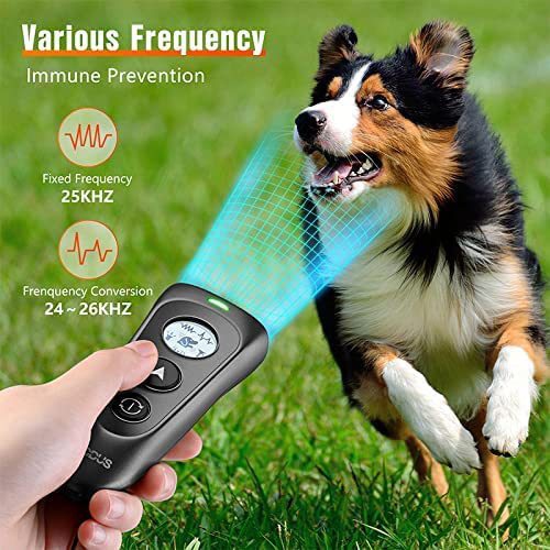 Bouchon d'écorce ultrasonique à deux têtes, dispositif d'entraînement portatif pour chien, bouchon d'écorce pour chien, prise en charge de