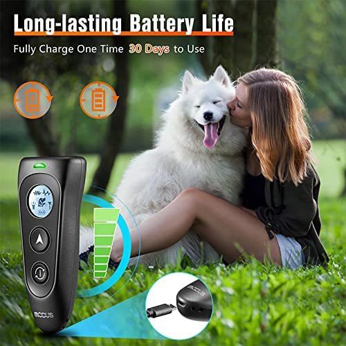 Bouchon d'écorce ultrasonique à deux têtes, dispositif d'entraînement portatif pour chien, bouchon d'écorce pour chien, prise en charge de