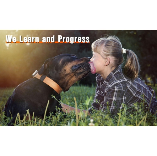 Bouchon d'écorce ultrasonique à deux têtes, dispositif d'entraînement portatif pour chien, bouchon d'écorce pour chien, prise en charge de