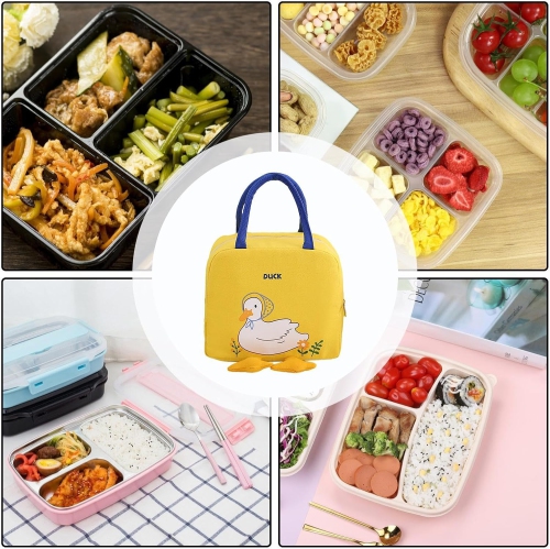 Kids Stylish Insulated Lunch Tote Bag | Large Lunch Bag | Leak-proof Insulated Food Bag for Office, Camping, Picnic, School
