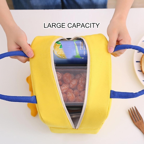 Kids Stylish Insulated Lunch Tote Bag | Large Lunch Bag | Leak-proof Insulated Food Bag for Office, Camping, Picnic, School