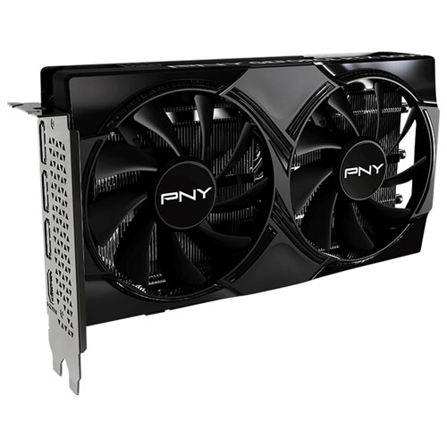 Carte graphique à deux ventilateurs NVIDIA GeForce RTX 5050 GDDR6 de 8 Go de PNY