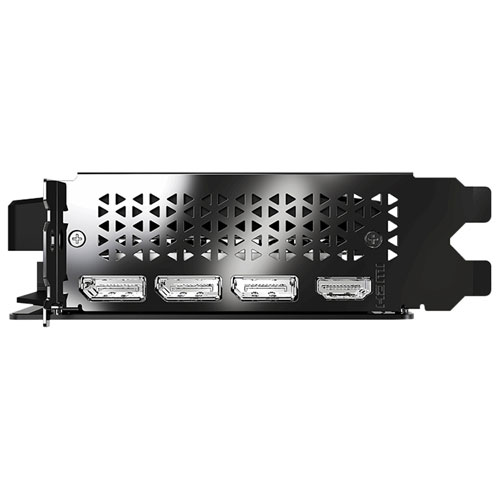 Carte graphique à deux ventilateurs NVIDIA GeForce RTX 5050 GDDR6 de 8 Go de PNY