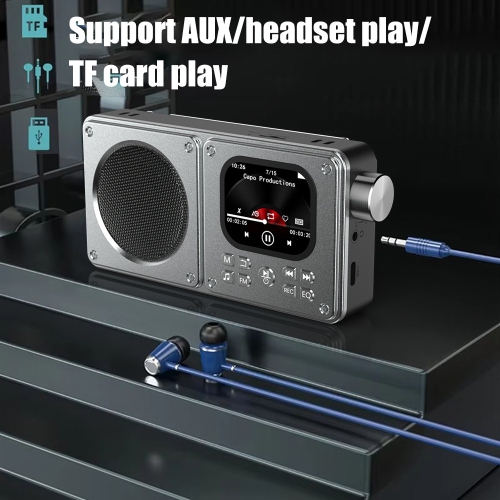 Petit haut-parleur Bluetooth radio FM numérique, haut-parleur sans fil radio portatif, écran LCD, prise pour écouteurs 3,5 mm, prise en charge