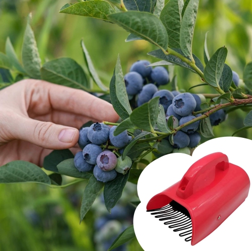 2 Packs Berry Picker, Plastic Blueberry Picker Scoop with Metallic Comb , Huckleberry Picking Rakes for Easier Berry Harvester, Blueberry Rake Scoop