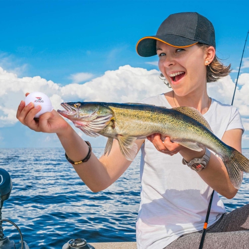 Échosondeur portatif sans fil Bluetooth Échosondeur intelligent avec APPLICATION iOS et téléphone Android pour kayak/glace/pêche sur bateau