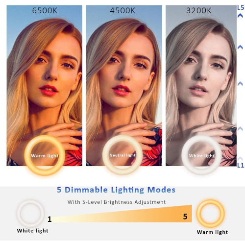 YOULIGHTS – Trousse d'éclairage pour vidéoconférence, anneau lumineux pour pince de moniteur, pour le travail à distance, apprentissage à distance,