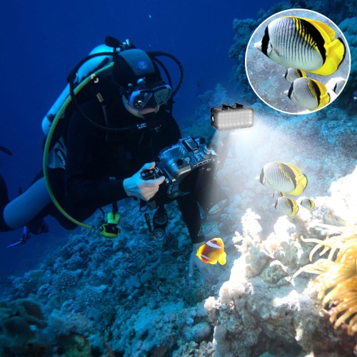 YOULIGHTS Diving Light High Power Dimmable Waterproof LED Video Light Fill Night Light Diving Underwater Light Waterproof 147ft