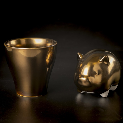 Pasler® Gold Glaze for Ceramic Pottery,Bisque,PCG01,16fl oz/473ml