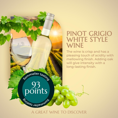 BestwineAmerica Miracle Grape Extraction – White Style Wine Making Kit – 2L Wine Kit Makes 23L of Wine - Pinot Gri..