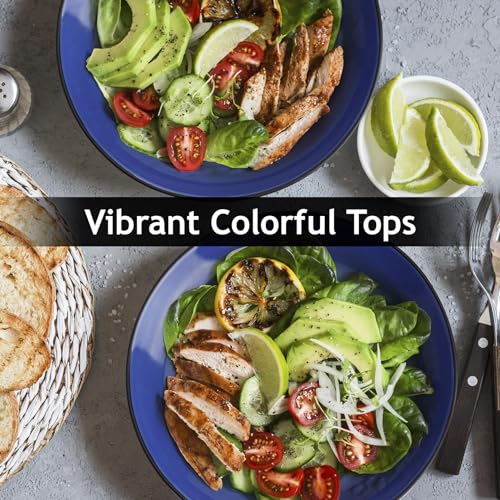 MIAMIO – 6 x Plate/Dinner Plate Set Stoneware Ceramic Tableware Set - Le Papillon Collection