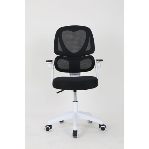 Brassex Ivy Ergonomic High-Back Fabric Office Chair - Black