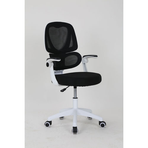Brassex Ivy Ergonomic High-Back Fabric Office Chair - Black