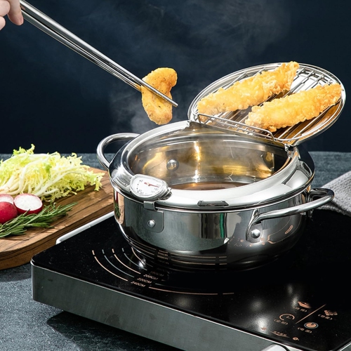Friteuse, petite friteuse en acier inoxydable 304 avec contrôle de la température et grille d'égouttage d'huile, marmite de friture avec couvercle