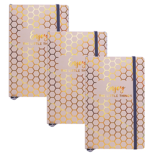 Pukka Pad, Haze A5 Journal , 8.2 x 5.11in, Notebook with Elasticated Closure , Beige, 3,Pack