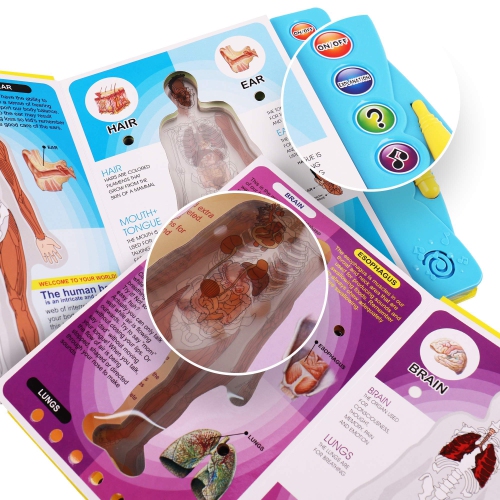 Boxiki Kids Human Body Book | Activity Books for Kids Ages 3 and Older | Science Books for Kids | Educational Toys | Bab