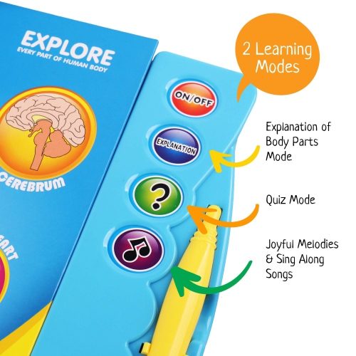 Boxiki Kids Human Body Book | Activity Books for Kids Ages 3 and Older | Science Books for Kids | Educational Toys | Bab