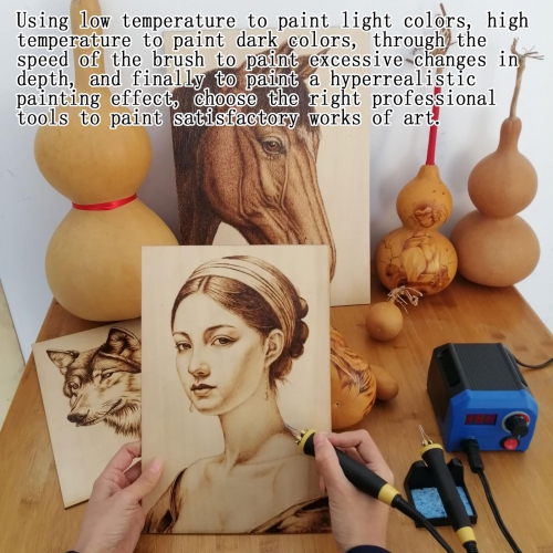 FIRElood LH55-1 wood burning kit,wood burning tool,digitally adjustable temperature wood burner kit,professional wood bu