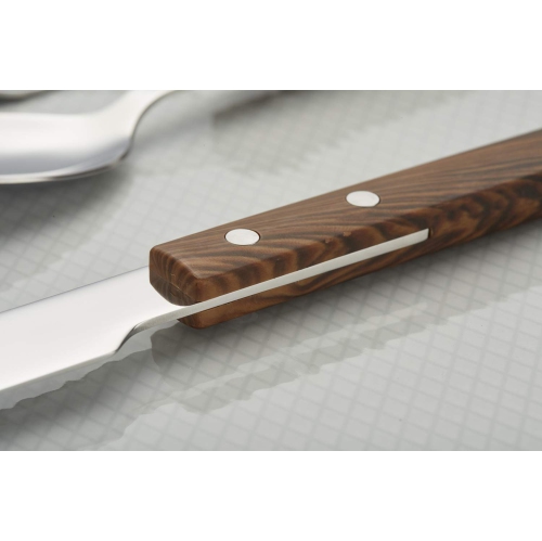 ANNOVA Silverware Set 20 Pieces Stainless Steel Color Handle With Rivet/Retro Flatware - 4 x Dinner Knife; 4 x Dinner Fo