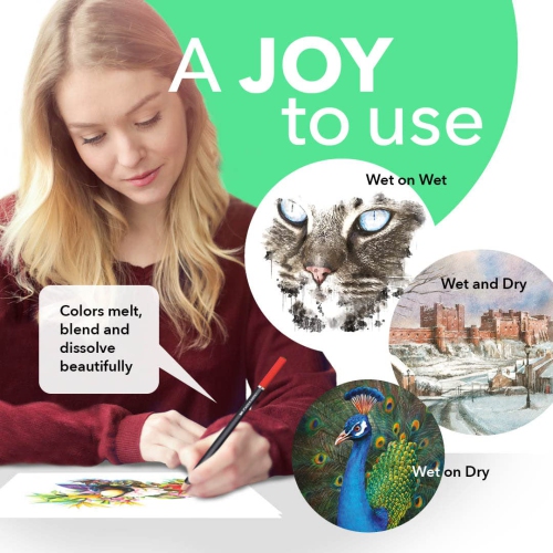 Castle Art Supplies 72 crayons aquarelle Zip-Up Set pour les artistes adultes | Cœurs colorés de qualité Couleurs vives pour créer Be