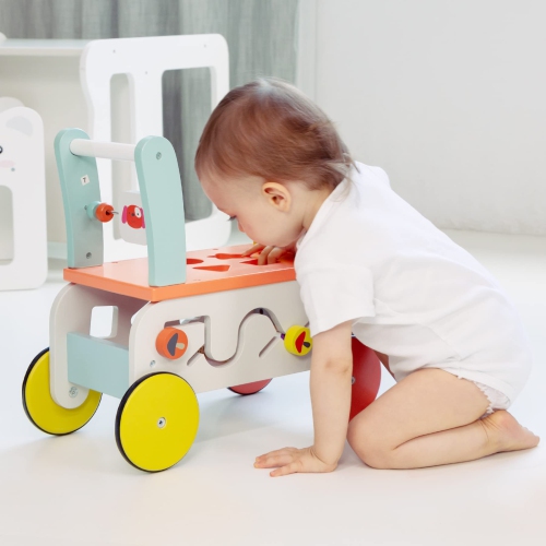 Marchette pour bébé avec poussette à pousser de Labebe, jouet à pousser pour tout-petit, chariot à tirer pour enfant, marchette d'activités 2-en-1