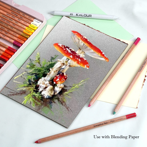 Crayons de couleur craie pastel KALOUR Pro, ensemble de 50 couleurs, crayons de charbon de couleur pour dessiner, colorier, A