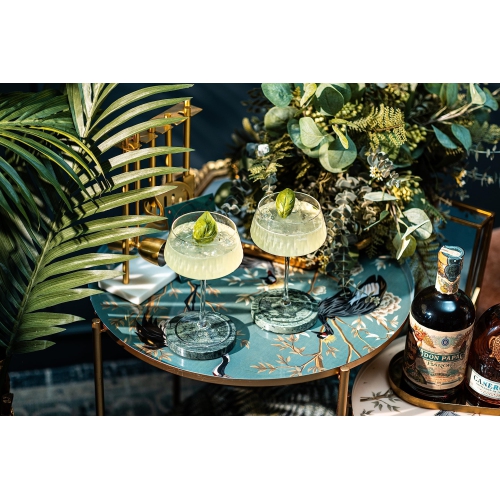 Verres Vintage Flamingo Belle Coupe pour cocktails et champagne | Collection de verres tropicaux Chic | Ensemble de 4 | 12 oz