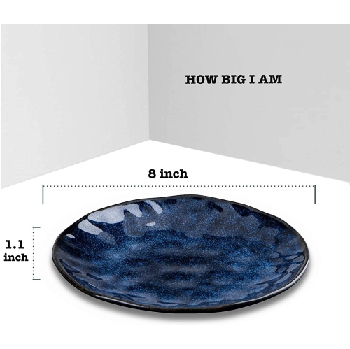 vicrays Ceramic Dessert Salad Plates, 8 Inch, Set of 6, Round, Microwave, Oven, and Dishwasher Safe, Scratch Resistant,