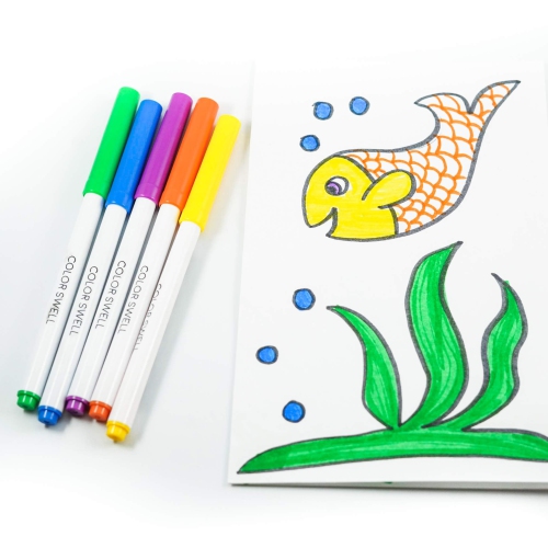 Paquet de marqueurs en vrac lavables Color Swell 36 boîtes de 8 couleurs vives chacune pour tous les âges, par