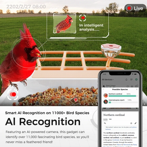 Perchme Sf-bf-sb01 Smart Bird Feeder With Camera