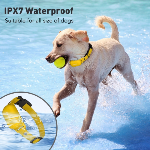 Collier d'entraînement pour chiens PATPET avec télécommande - Collier anti-chocs électrique pour chiens, petit chien, grand, 3 modes de sécurité,