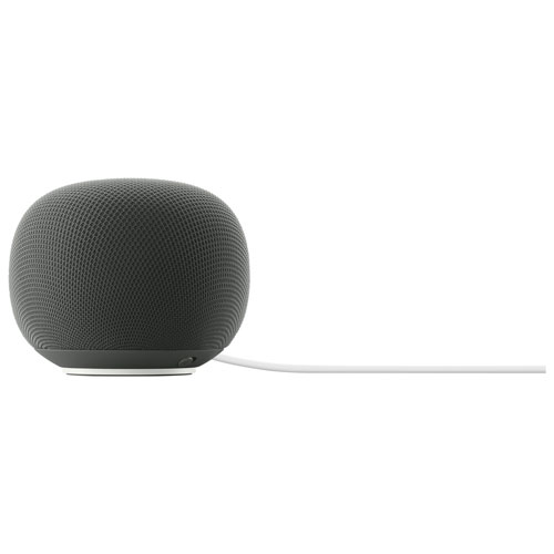 Haut-parleur intelligent Google Home avec Assistant Google - Vert lichen - Printemps 2026