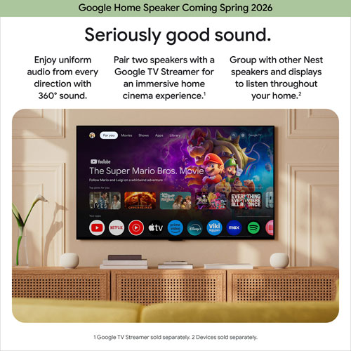 Haut-parleur intelligent Google Home avec Assistant Google - Vert lichen - Printemps 2026