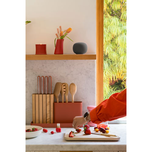 Haut-parleur intelligent Google Home avec Assistant Google - Vert lichen - Printemps 2026